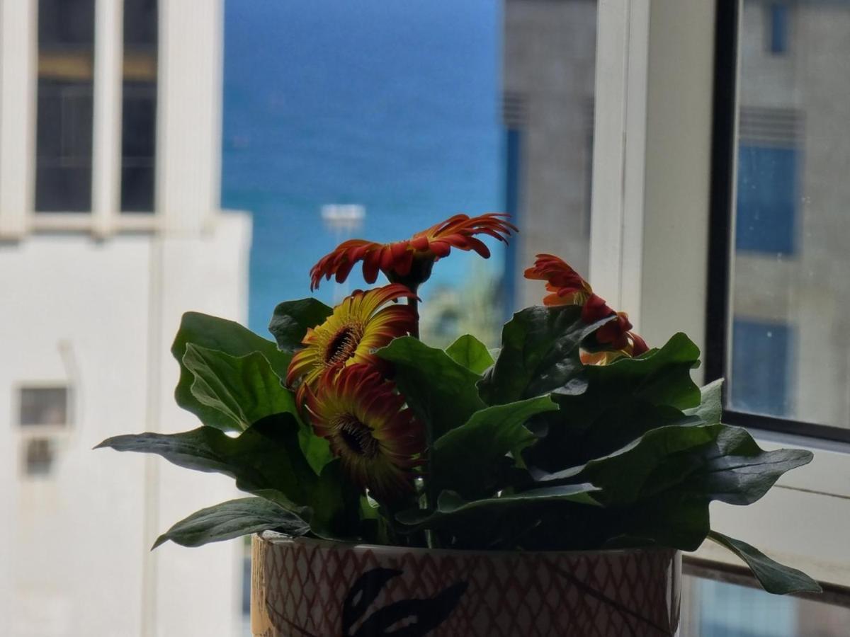 Delicate Serviced Apartment And Hotel Da Nang Eksteriør bilde
